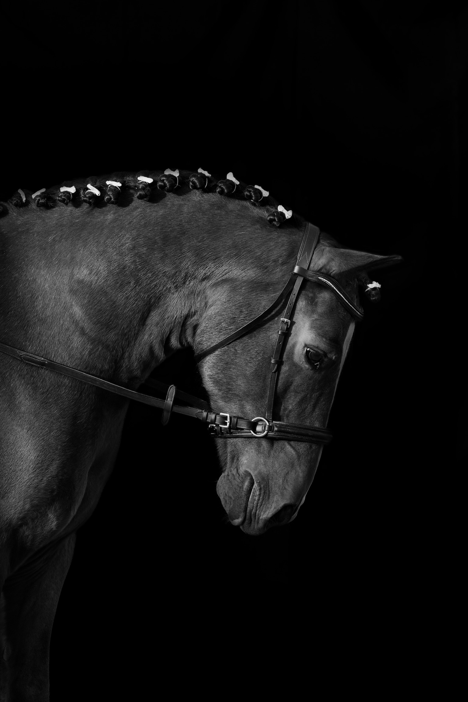 Photo de Yaël JUCHET Photographie